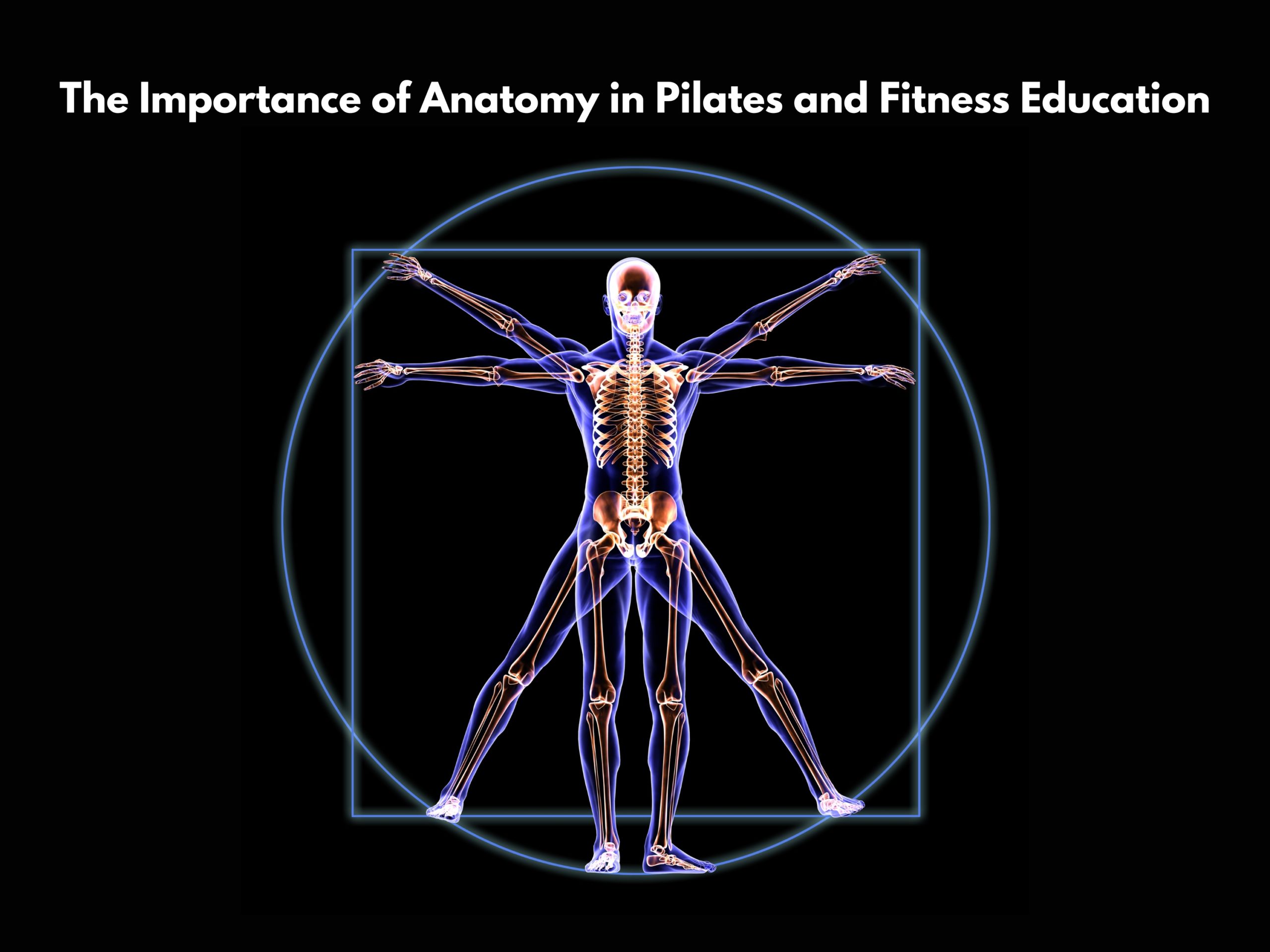 The Importance of Anatomy in Pilates and Fitness Education